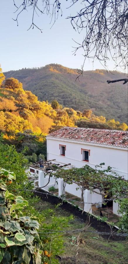 Finca Riolavar Jubrique Ngoại thất bức ảnh